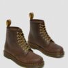 1460 Botas con cordones de piel Crazy Horse