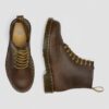 1460 Botas con cordones de piel Crazy Horse